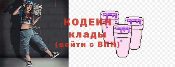 прущие грибы Верея